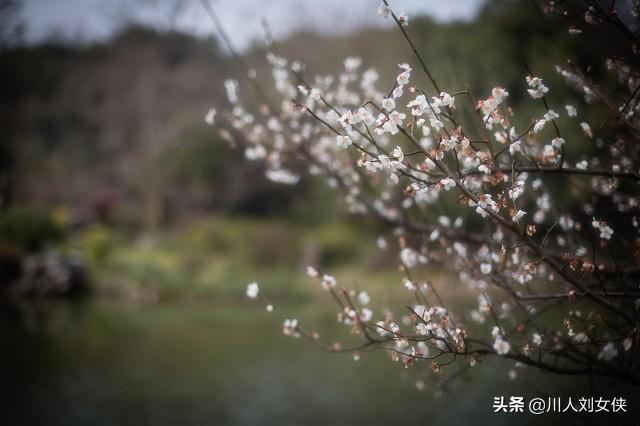 六块二毛五_天涯个人主页 六块二毛五_天涯个人主页