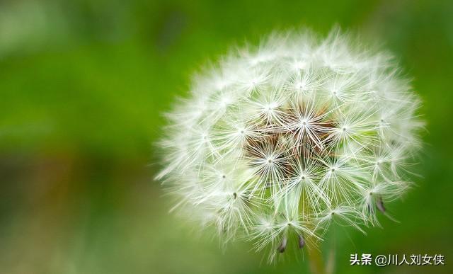 六块二毛五_天涯个人主页 六块二毛五_天涯个人主页