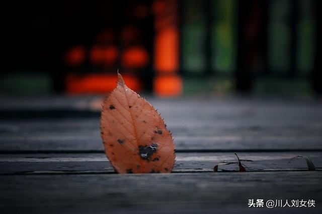 六块二毛五_天涯个人主页 六块二毛五_天涯个人主页