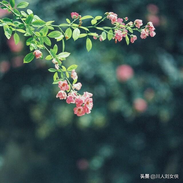 六块二毛五_天涯个人主页 六块二毛五_天涯个人主页