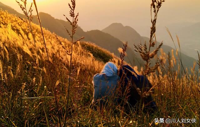 六块二毛五_天涯个人主页 六块二毛五_天涯个人主页