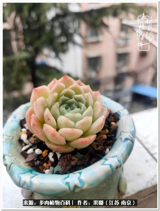 球球大作战代刷-球球全网最低自助下单平台 球球大作战代刷-球球全网最低自助下单平台