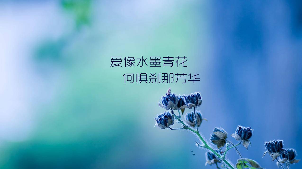 免费刷说说赞50个（免费刷说说赞平台）
