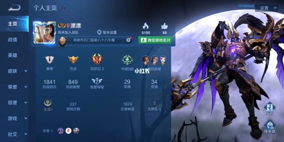刷王者荣耀主页赞最低价的简单介绍