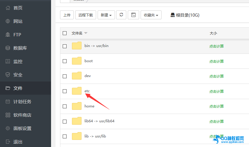 关于娇九代刷网的信息