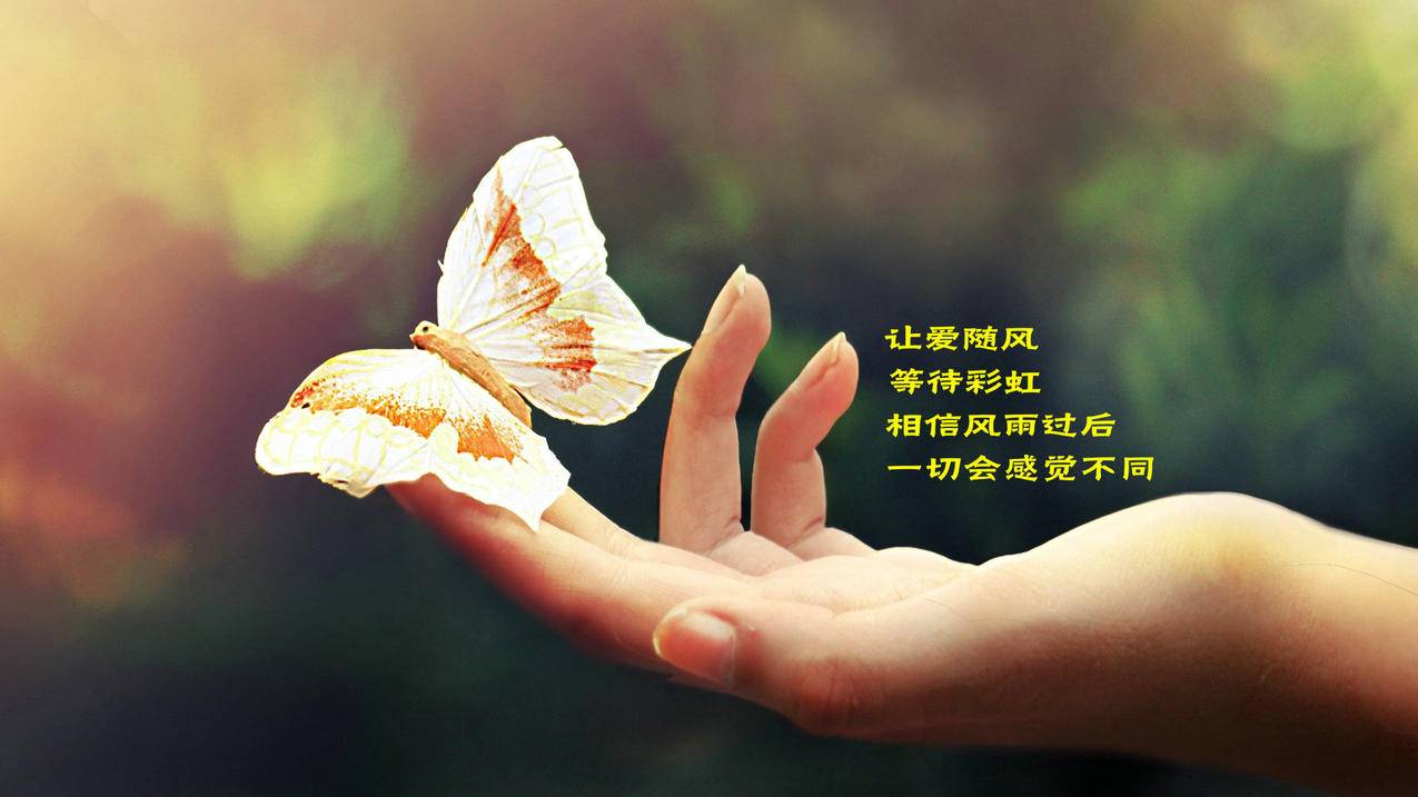 qq说说点赞在线网站（说说点赞在线网站便宜）