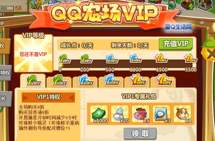 QQ代刷网爱q（代刷网永久vip是真的吗）