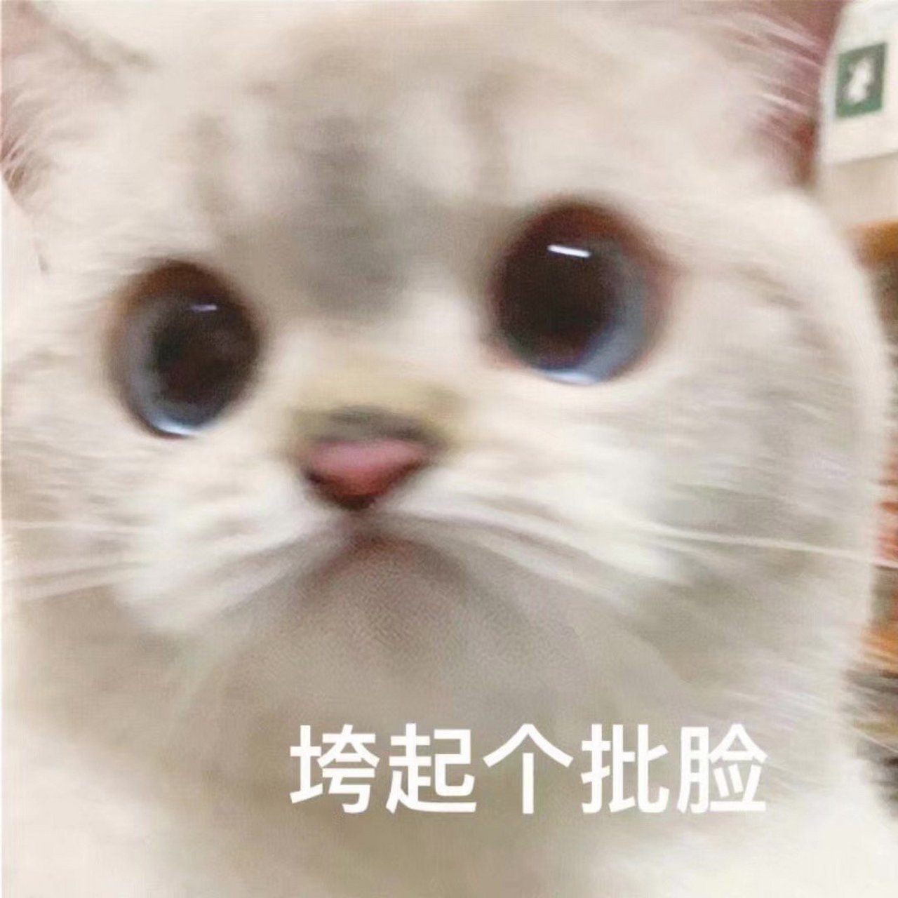 QQ业务代_代理业务