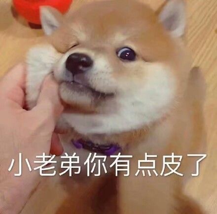 代刷小老弟_全网代刷小老弟