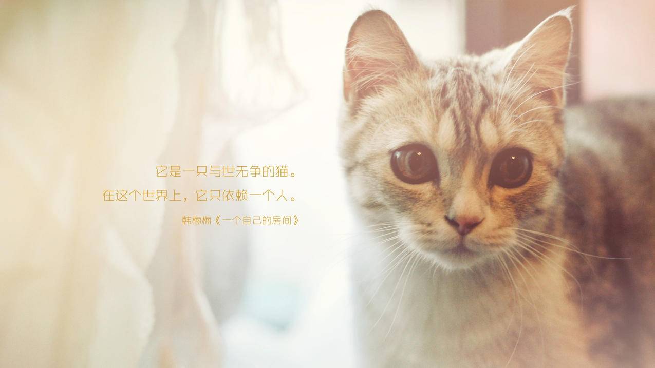 全网最低价刷赞QQ_全网最低价辅助发卡网